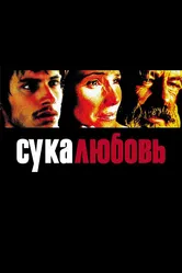 Сука-любовь 2000 постер