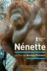 Ненетт 2010 постер