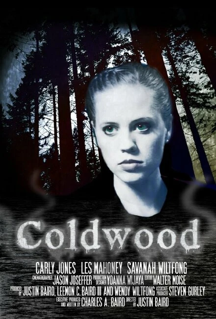 Постер Coldwood