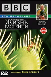 BBC: Невидимая жизнь растений 1995 постер
