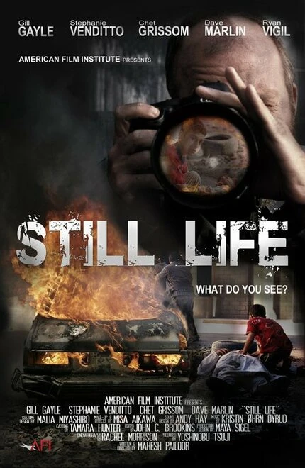 Постер Still Life 2007, США