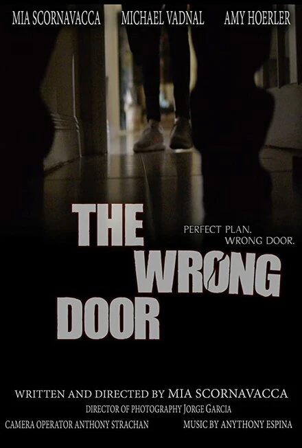 Постер The Wrong Door 2019