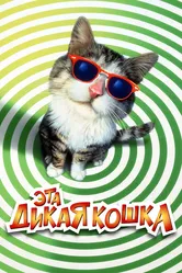 Эта дикая кошка 1997 постер