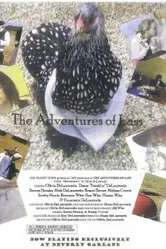 The Adventures of Lass постер