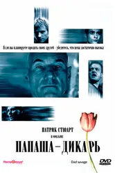 Папаша — дикарь 1998 постер