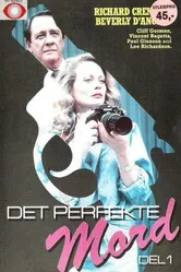 Двойные неприятности 1985 постер
