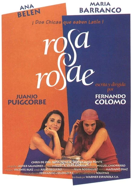 Постер Розовая роза 1993