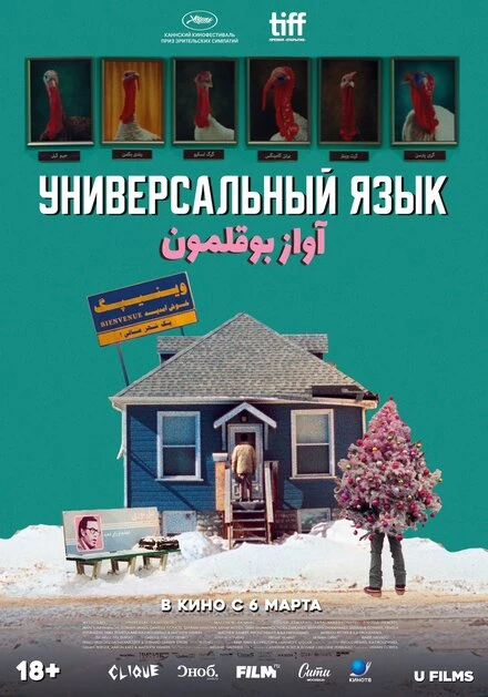 Постер Универсальный язык 2024