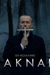 Пропавшая 2017, Швеция постер