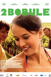 2 ягоды 2009 постер