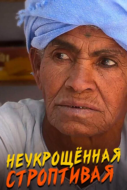 Постер Неукрощенная строптивая 2015