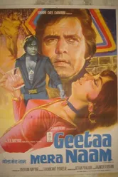 Меня зовут Гита 1974 постер