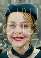 AirHostess-737 постер