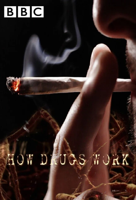 Постер How Drugs Work