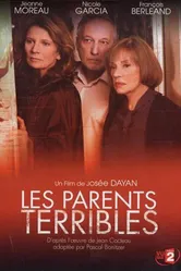 Трудные родители 2003 постер