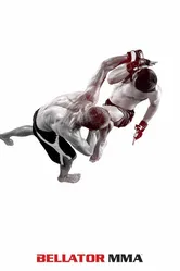 Bellator MMA постер