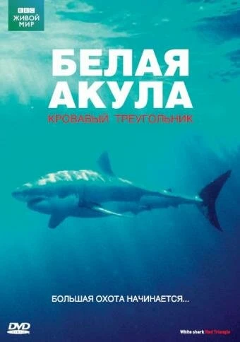 Постер BBC: Белая акула. Кровавый треугольник 2002