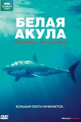 BBC: Белая акула. Кровавый треугольник 2002 постер