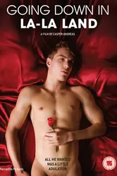 На дне Страны грез 2011 постер