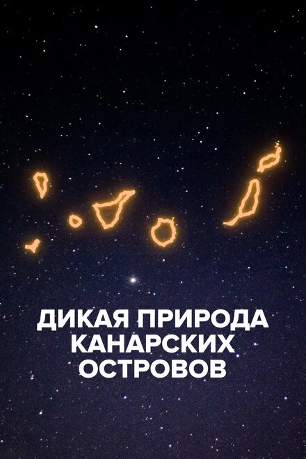 Постер Дикая природа Канарских островов 2021