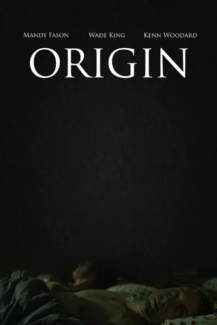 Постер Origin 2014