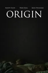 Origin 2014 постер