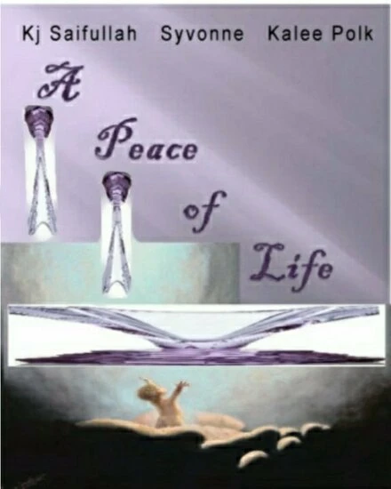Постер A Peace of Life