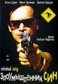 Постер Злоумышленник Син 2007