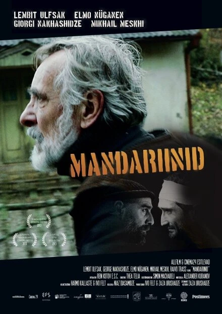 Постер Мандарины 2013