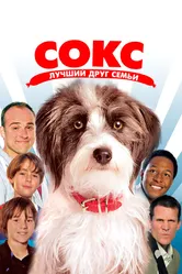 Сокс. Лучший друг семьи 2013 постер