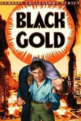 Black Gold постер