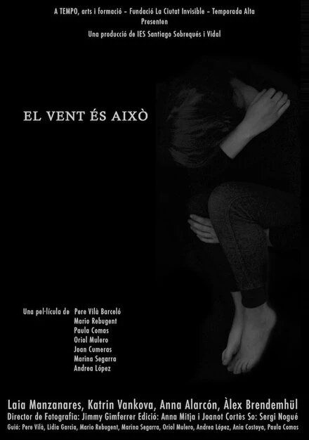 Постер El vent és això