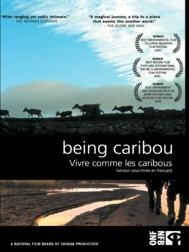 Постер Being Caribou