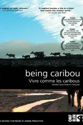Being Caribou постер