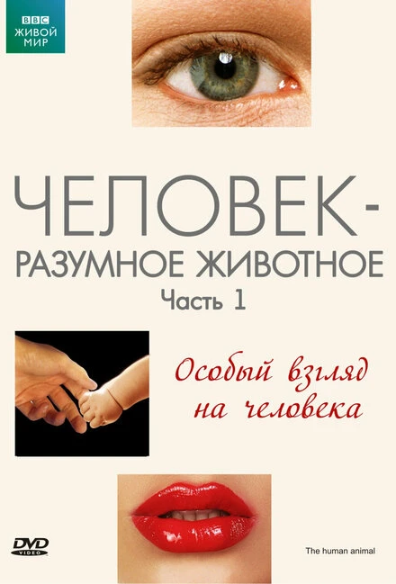 Постер BBC: Человек – разумное животное 1994