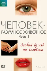 BBC: Человек – разумное животное 1994 постер