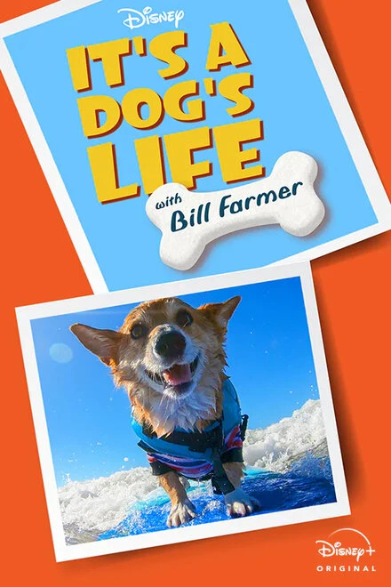 Постер It's A Dog's Life