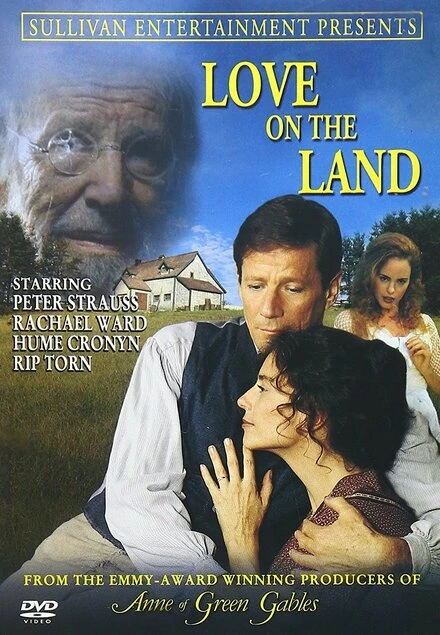 Постер Время любви 1999, США