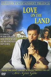 Время любви 1999, США постер