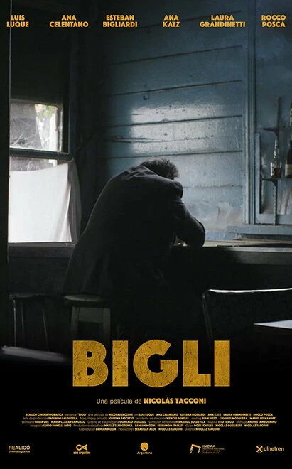 Постер Bigli