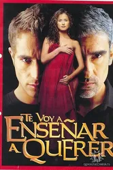 Я научу тебя любить 2004 постер