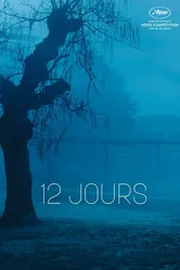 12 дней 2017 постер