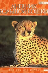 Дневник большой кошки 1996 постер