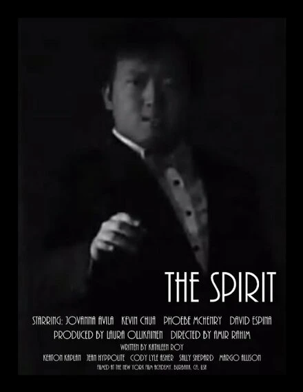 Постер The Spirit 2013