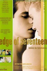 Семнадцатилетний рубеж 1998 постер
