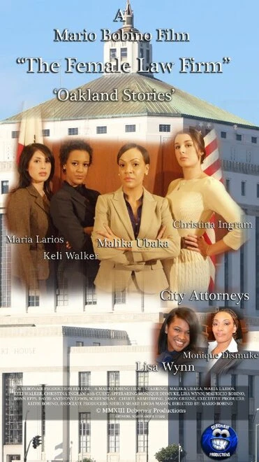 Постер The Female Law Firm