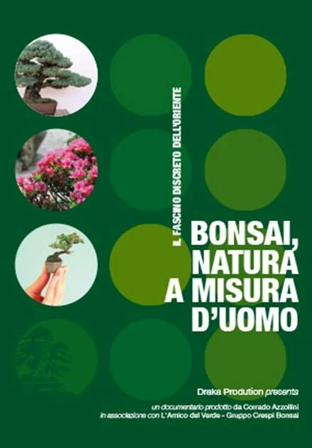 Постер Bonsai, natura a misura d'uomo