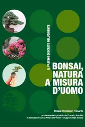 Bonsai, natura a misura d'uomo постер