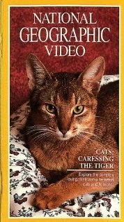 Постер Кошки: Ласковые тигры 1991