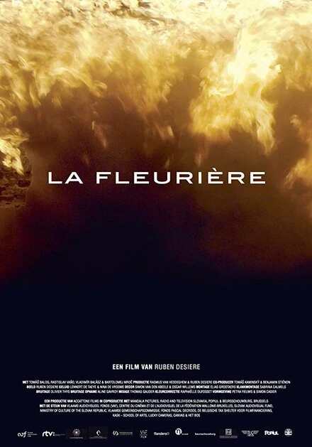 Постер La fleurière